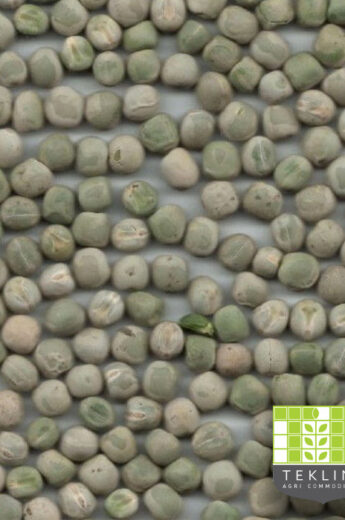 Peas Green