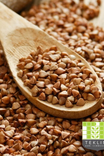 Buckwheat Roasted Kernel