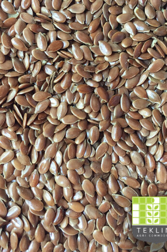 Flax seeds