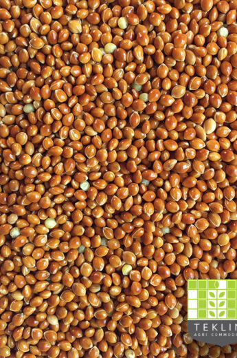Red Millet