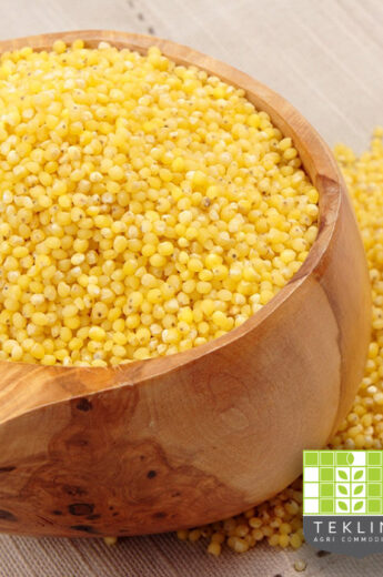 Hulled Millet