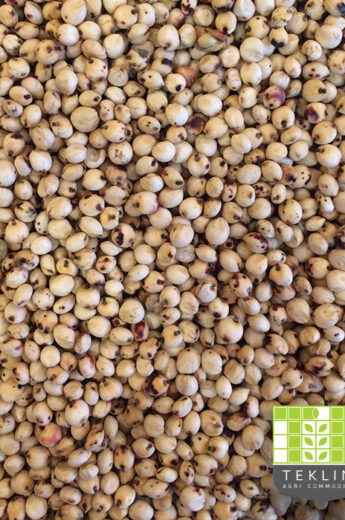 Sorghum White